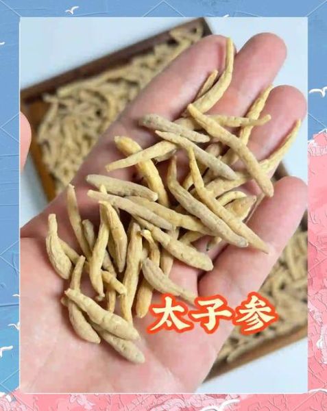 太子参孕妇可以吃吗_太子参对胎儿有影响吗-第3张图片-星辰妙记 太子参孕妇可以吃吗_太子参对胎儿有影响吗-第3张图片-星辰妙记