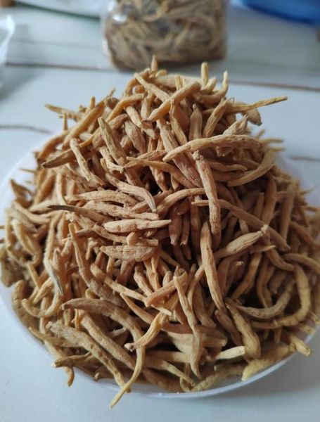 太子参孕妇可以吃吗_太子参对胎儿有影响吗-第2张图片-星辰妙记 太子参孕妇可以吃吗_太子参对胎儿有影响吗-第2张图片-星辰妙记