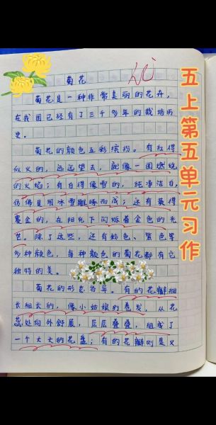 五年级作文怎么写_小学生作文技巧-第1张图片-星辰妙记 五年级作文怎么写_小学生作文技巧-第1张图片-星辰妙记