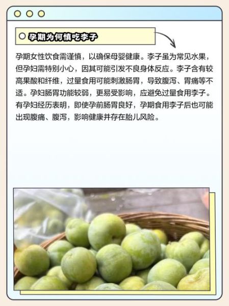 孕妇可以吃李子吗早期_孕早期吃李子注意事项-第1张图片-星辰妙记 孕妇可以吃李子吗早期_孕早期吃李子注意事项-第1张图片-星辰妙记