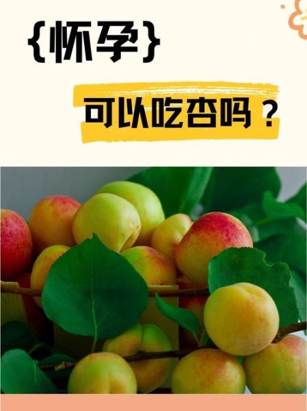 孕妇能吃桃子和杏子吗_孕期吃桃杏的注意事项-第3张图片-星辰妙记 孕妇能吃桃子和杏子吗_孕期吃桃杏的注意事项-第3张图片-星辰妙记