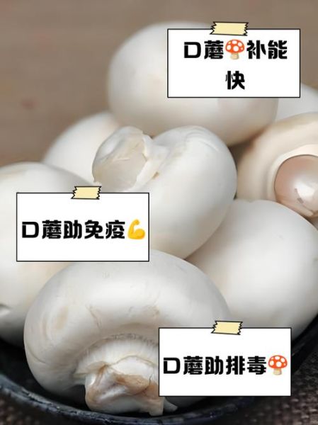 口蘑孕妇可以吃吗_孕妇吃口蘑注意事项-第1张图片-星辰妙记 口蘑孕妇可以吃吗_孕妇吃口蘑注意事项-第1张图片-星辰妙记