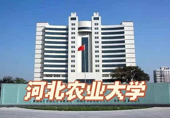 河北农业大学是几本_河北农业大学属于什么批次-第1张图片-星辰妙记 河北农业大学是几本_河北农业大学属于什么批次-第1张图片-星辰妙记
