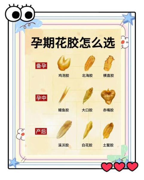 孕妇什么时候吃鱼胶最好_怀孕几个月开始吃花胶-第3张图片-星辰妙记 孕妇什么时候吃鱼胶最好_怀孕几个月开始吃花胶-第3张图片-星辰妙记