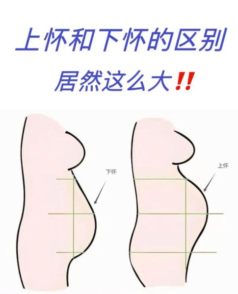 孕妇肚子大小正常吗_孕期肚子变化图解-第1张图片-星辰妙记 孕妇肚子大小正常吗_孕期肚子变化图解-第1张图片-星辰妙记