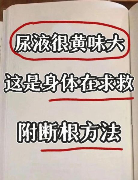 孕妇尿液味道很重_正常吗-第2张图片-星辰妙记 孕妇尿液味道很重_正常吗-第2张图片-星辰妙记