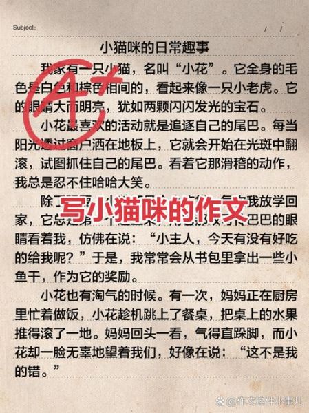 三年级写猫的作文怎么写_描写小猫的作文技巧-第1张图片-星辰妙记 三年级写猫的作文怎么写_描写小猫的作文技巧-第1张图片-星辰妙记