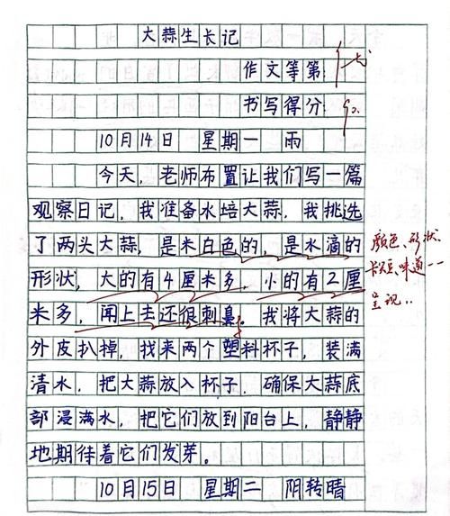 四年级上册作文观察日记怎么写_观察日记写作技巧-第1张图片-星辰妙记 四年级上册作文观察日记怎么写_观察日记写作技巧-第1张图片-星辰妙记