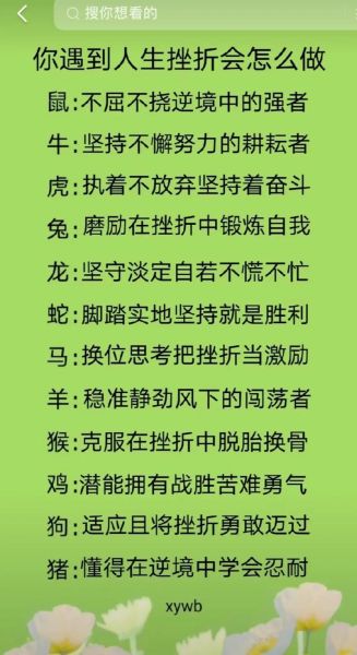 如何面对挫折_面对挫折怎么办-第3张图片-星辰妙记 如何面对挫折_面对挫折怎么办-第3张图片-星辰妙记