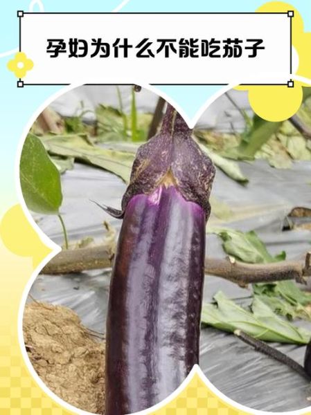 孕妇为什么不能吃茄子_孕期吃茄子对胎儿有影响吗-第1张图片-星辰妙记 孕妇为什么不能吃茄子_孕期吃茄子对胎儿有影响吗-第1张图片-星辰妙记