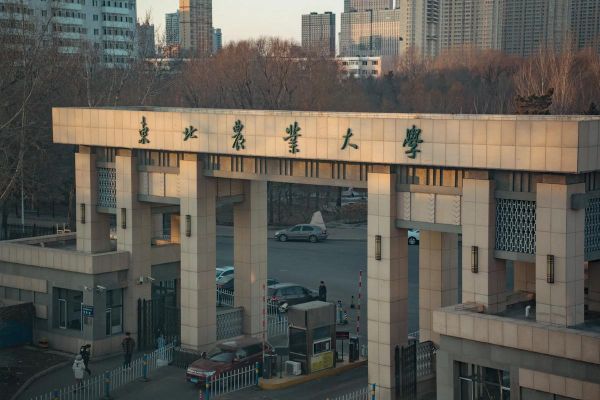 东北农业大学地址在哪里_怎么去最方便-第2张图片-星辰妙记 东北农业大学地址在哪里_怎么去最方便-第2张图片-星辰妙记