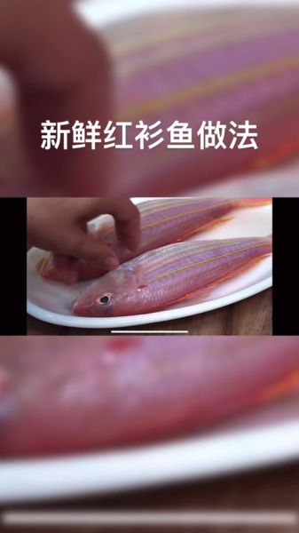 孕妇可以吃金丝鱼吗_金丝鱼孕期营养安全指南-第3张图片-星辰妙记 孕妇可以吃金丝鱼吗_金丝鱼孕期营养安全指南-第3张图片-星辰妙记