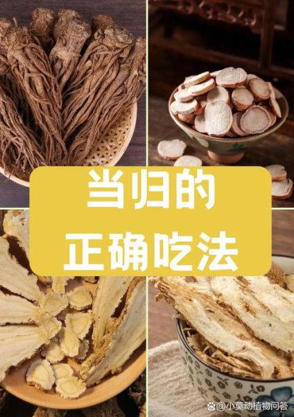 孕妇能吃当归吗_当归对孕妇有什么影响-第2张图片-星辰妙记 孕妇能吃当归吗_当归对孕妇有什么影响-第2张图片-星辰妙记