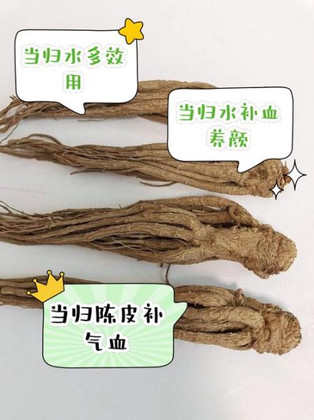 孕妇能吃当归吗_当归对孕妇有什么影响-第3张图片-星辰妙记 孕妇能吃当归吗_当归对孕妇有什么影响-第3张图片-星辰妙记