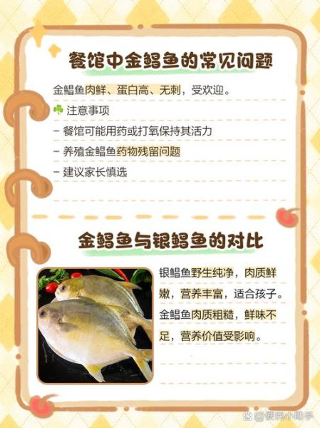孕妇可以吃金鲳鱼吗_金鲳鱼营养价值与禁忌-第2张图片-星辰妙记 孕妇可以吃金鲳鱼吗_金鲳鱼营养价值与禁忌-第2张图片-星辰妙记