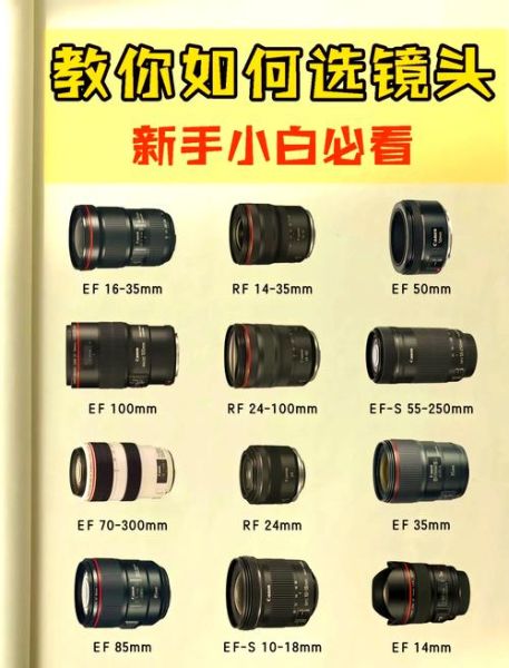 如何购买镜头_镜头选购技巧-第1张图片-星辰妙记 如何购买镜头_镜头选购技巧-第1张图片-星辰妙记