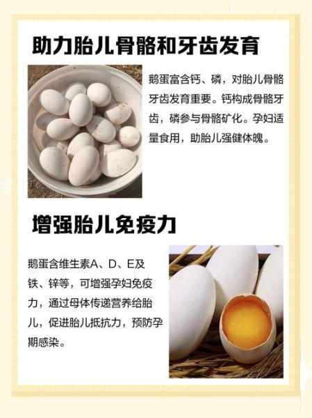 孕妇能吃鹅蛋吗_鹅蛋对胎儿有什么好处-第1张图片-星辰妙记 孕妇能吃鹅蛋吗_鹅蛋对胎儿有什么好处-第1张图片-星辰妙记