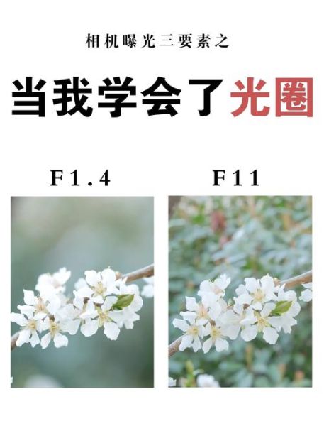 什么是恒定光圈_恒定光圈和浮动光圈区别-第2张图片-星辰妙记 什么是恒定光圈_恒定光圈和浮动光圈区别-第2张图片-星辰妙记