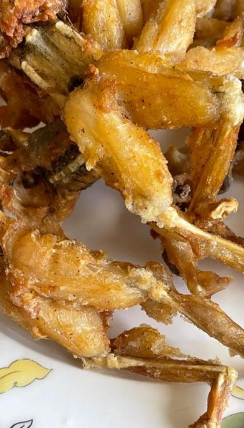 孕妇可以吃田鸡吗_孕期吃田鸡的风险与好处-第3张图片-星辰妙记 孕妇可以吃田鸡吗_孕期吃田鸡的风险与好处-第3张图片-星辰妙记