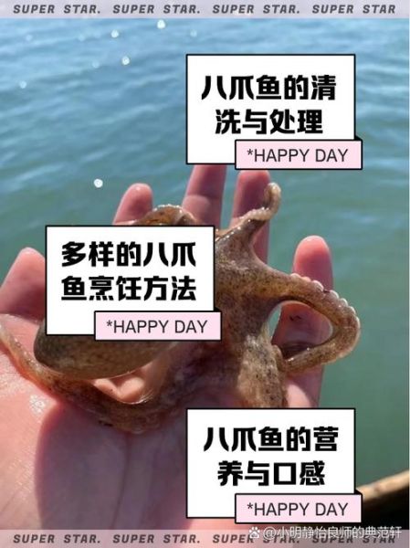 孕妇能吃八爪鱼吗_孕妇吃八爪鱼注意事项-第3张图片-星辰妙记 孕妇能吃八爪鱼吗_孕妇吃八爪鱼注意事项-第3张图片-星辰妙记