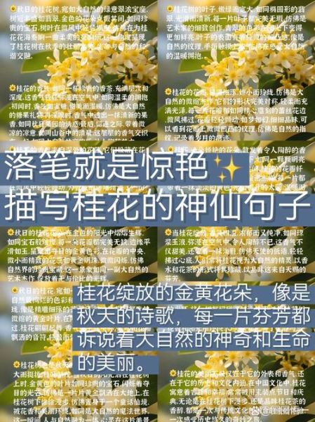 特别的美作文怎么写_特别的美作文素材有哪些-第3张图片-星辰妙记 特别的美作文怎么写_特别的美作文素材有哪些-第3张图片-星辰妙记