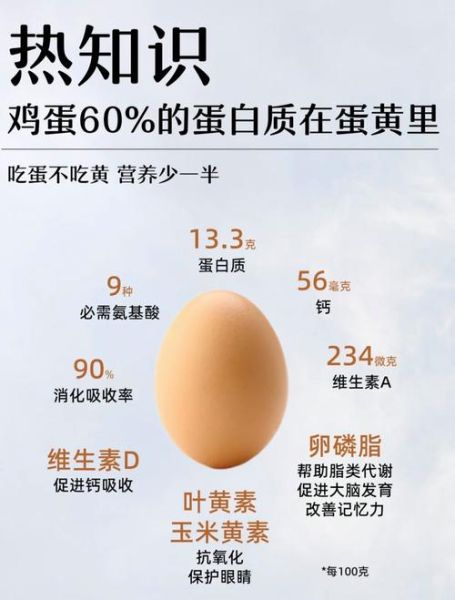 孕妇可以每天吃一个鸡蛋吗_孕妇一天吃几个鸡蛋合适-第2张图片-星辰妙记 孕妇可以每天吃一个鸡蛋吗_孕妇一天吃几个鸡蛋合适-第2张图片-星辰妙记