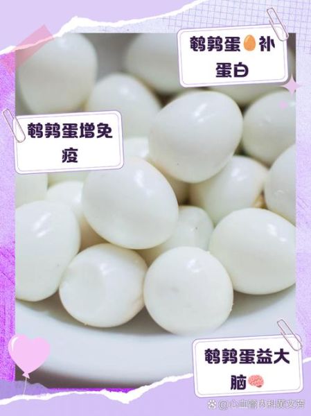 孕妇一天可以吃几个鹌鹑蛋_鹌鹑蛋对孕妇的好处-第1张图片-星辰妙记 孕妇一天可以吃几个鹌鹑蛋_鹌鹑蛋对孕妇的好处-第1张图片-星辰妙记
