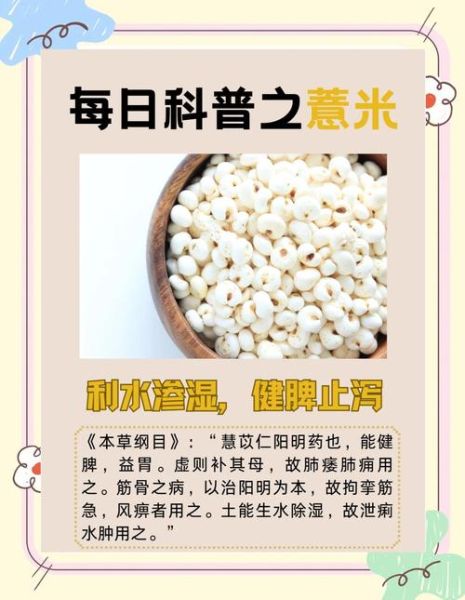 孕妇可以吃薏仁吗_薏仁米孕期禁忌-第1张图片-星辰妙记 孕妇可以吃薏仁吗_薏仁米孕期禁忌-第1张图片-星辰妙记