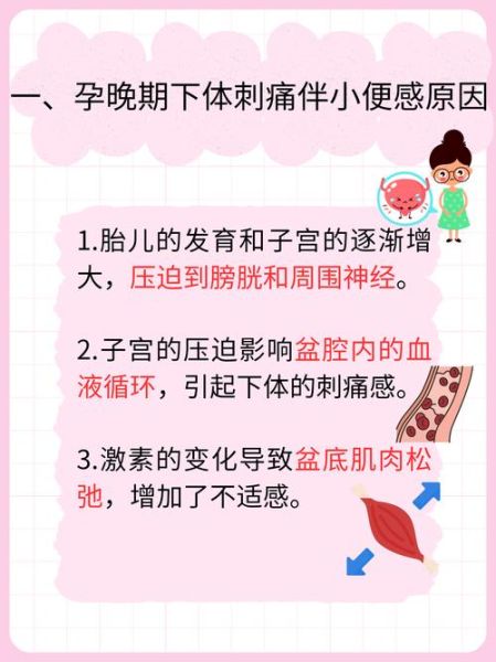 孕妇下体疼是怎么回事_孕晚期下体疼怎么缓解-第1张图片-星辰妙记 孕妇下体疼是怎么回事_孕晚期下体疼怎么缓解-第1张图片-星辰妙记