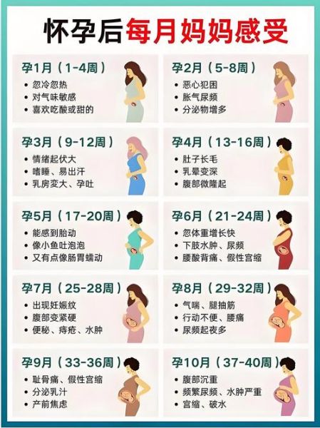 孕妇多少周不能坐高铁_高铁对孕妇的限制周数-第1张图片-星辰妙记 孕妇多少周不能坐高铁_高铁对孕妇的限制周数-第1张图片-星辰妙记