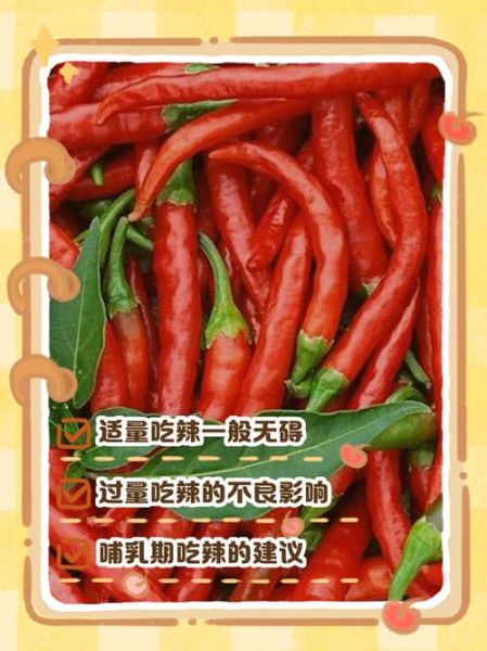 孕妇能吃辣椒吗_怀孕吃辣对胎儿有影响吗-第2张图片-星辰妙记 孕妇能吃辣椒吗_怀孕吃辣对胎儿有影响吗-第2张图片-星辰妙记