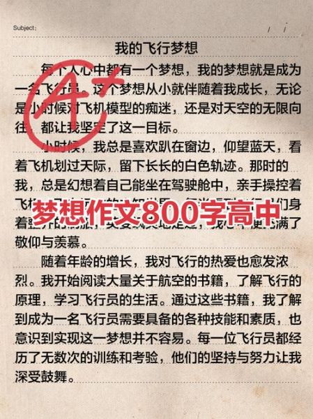 高中生如何写好理想作文_理想作文800字写作技巧-第1张图片-星辰妙记 高中生如何写好理想作文_理想作文800字写作技巧-第1张图片-星辰妙记