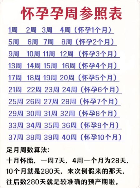 孕妇表怎么看_孕妇表怎么算孕周-第1张图片-星辰妙记 孕妇表怎么看_孕妇表怎么算孕周-第1张图片-星辰妙记