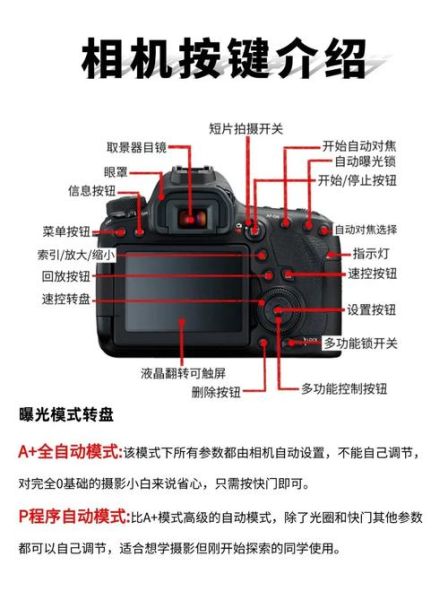 单反镜头松动怎么办_镜头卡口晃动怎么修-第1张图片-星辰妙记 单反镜头松动怎么办_镜头卡口晃动怎么修-第1张图片-星辰妙记