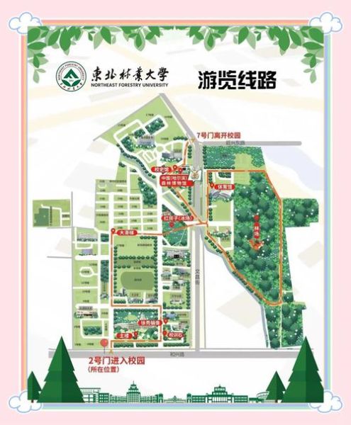 东北林业大学怎么样_东北林业大学有哪些王牌专业-第1张图片-星辰妙记 东北林业大学怎么样_东北林业大学有哪些王牌专业-第1张图片-星辰妙记