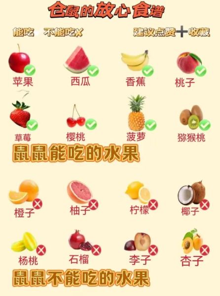 小仓鼠怎么养_小仓鼠吃什么-第1张图片-星辰妙记 小仓鼠怎么养_小仓鼠吃什么-第1张图片-星辰妙记