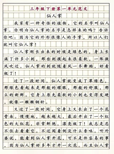 仙人掌怎么养_仙人掌的作文怎么写-第2张图片-星辰妙记 仙人掌怎么养_仙人掌的作文怎么写-第2张图片-星辰妙记