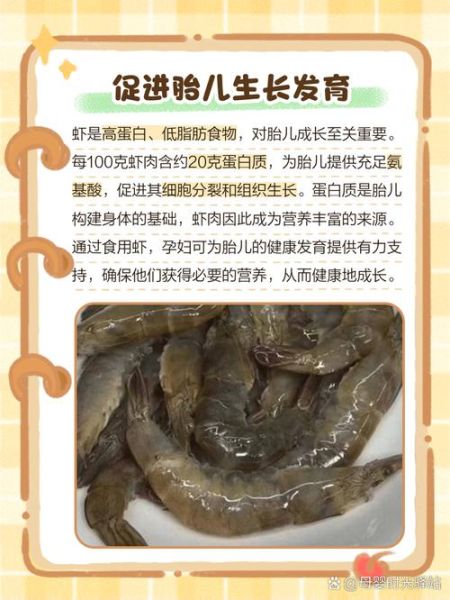 孕妇可以吃生虾吗_孕期吃生虾的风险-第1张图片-星辰妙记 孕妇可以吃生虾吗_孕期吃生虾的风险-第1张图片-星辰妙记
