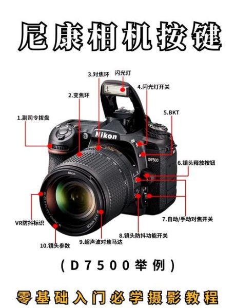 尼康镜头怎么选_尼康镜头网深度解析-第2张图片-星辰妙记