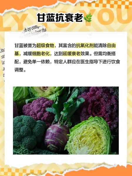 孕妇可以吃甘蓝吗_甘蓝对胎儿有影响吗-第1张图片-星辰妙记 孕妇可以吃甘蓝吗_甘蓝对胎儿有影响吗-第1张图片-星辰妙记