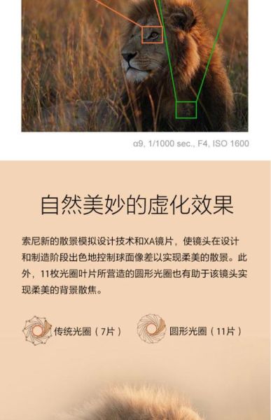 大炮镜头适合拍什么_怎么选焦距-第3张图片-星辰妙记 大炮镜头适合拍什么_怎么选焦距-第3张图片-星辰妙记