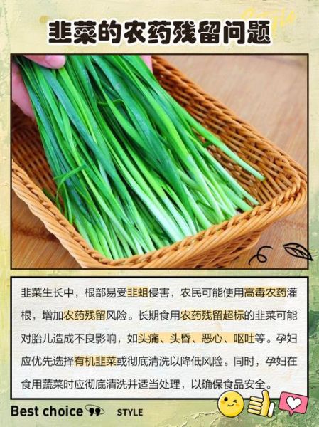 孕妇能吃韭菜吗_孕妇吃韭菜注意事项-第3张图片-星辰妙记