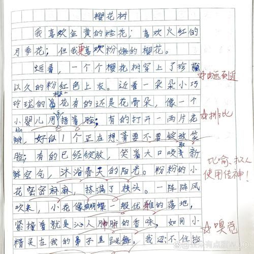 三年级100字作文怎么写_三年级作文不会写怎么办-第3张图片-星辰妙记 三年级100字作文怎么写_三年级作文不会写怎么办-第3张图片-星辰妙记