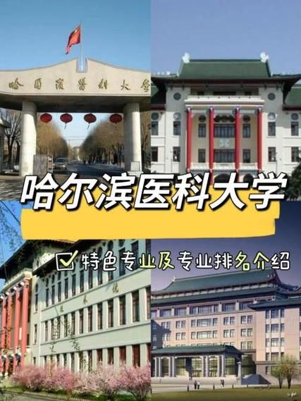 哈尔滨医科大学怎么样_哈尔滨医科大学专业排名-第3张图片-星辰妙记 哈尔滨医科大学怎么样_哈尔滨医科大学专业排名-第3张图片-星辰妙记