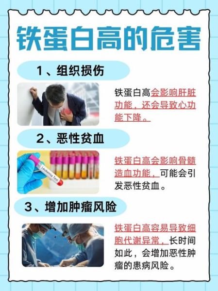 孕妇铁蛋白偏高要紧吗_铁蛋白高对胎儿有影响吗-第2张图片-星辰妙记 孕妇铁蛋白偏高要紧吗_铁蛋白高对胎儿有影响吗-第2张图片-星辰妙记