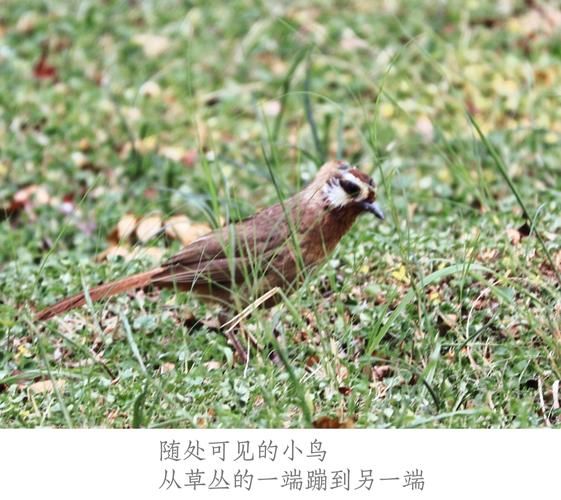 佳能长焦镜头推荐_佳能长焦镜头价格-第2张图片-星辰妙记 佳能长焦镜头推荐_佳能长焦镜头价格-第2张图片-星辰妙记