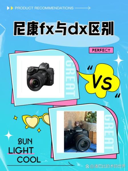 fx格式镜头是什么_fx镜头和dx镜头区别-第1张图片-星辰妙记