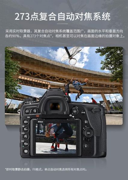 fx格式镜头是什么_fx镜头和dx镜头区别-第2张图片-星辰妙记