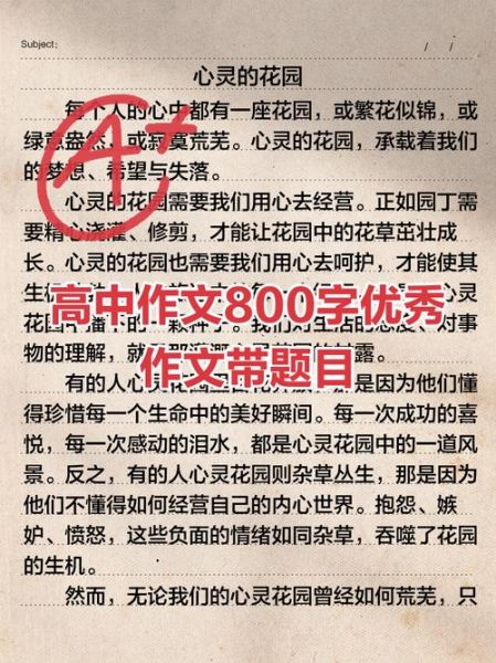 高中作文如何拿高分_优秀作文800字写作技巧-第2张图片-星辰妙记