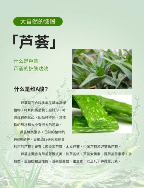 孕妇能吃芦荟吗_芦荟对孕妇的危害-第1张图片-星辰妙记